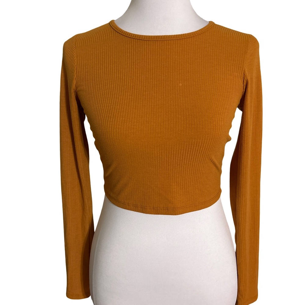 Caution To The Wind Amber Long Sleeve Crop Top